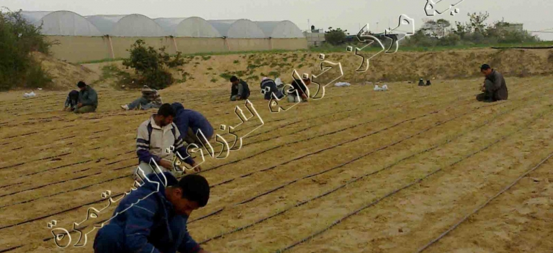 مشروع إعادة تأهيل الأراضي الزراعية في منطقتي الشوكة والفخاري